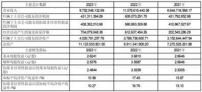 2024新奥正规免费资料大全,强项解答解释落实_资产版7.054