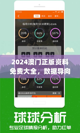 2024新澳门正版免费资料车,极简解答解释落实_促销版38.13.29