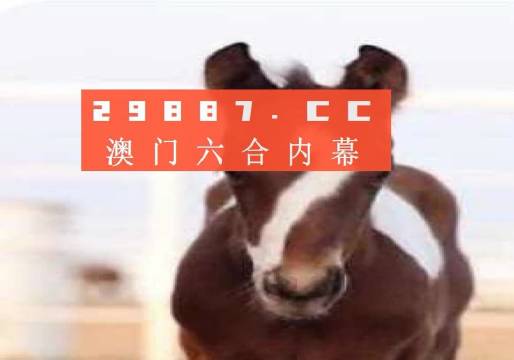 闻播 第8页